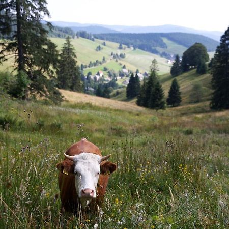 Pension Haus Daheim Todtnauberg Bagian luar foto