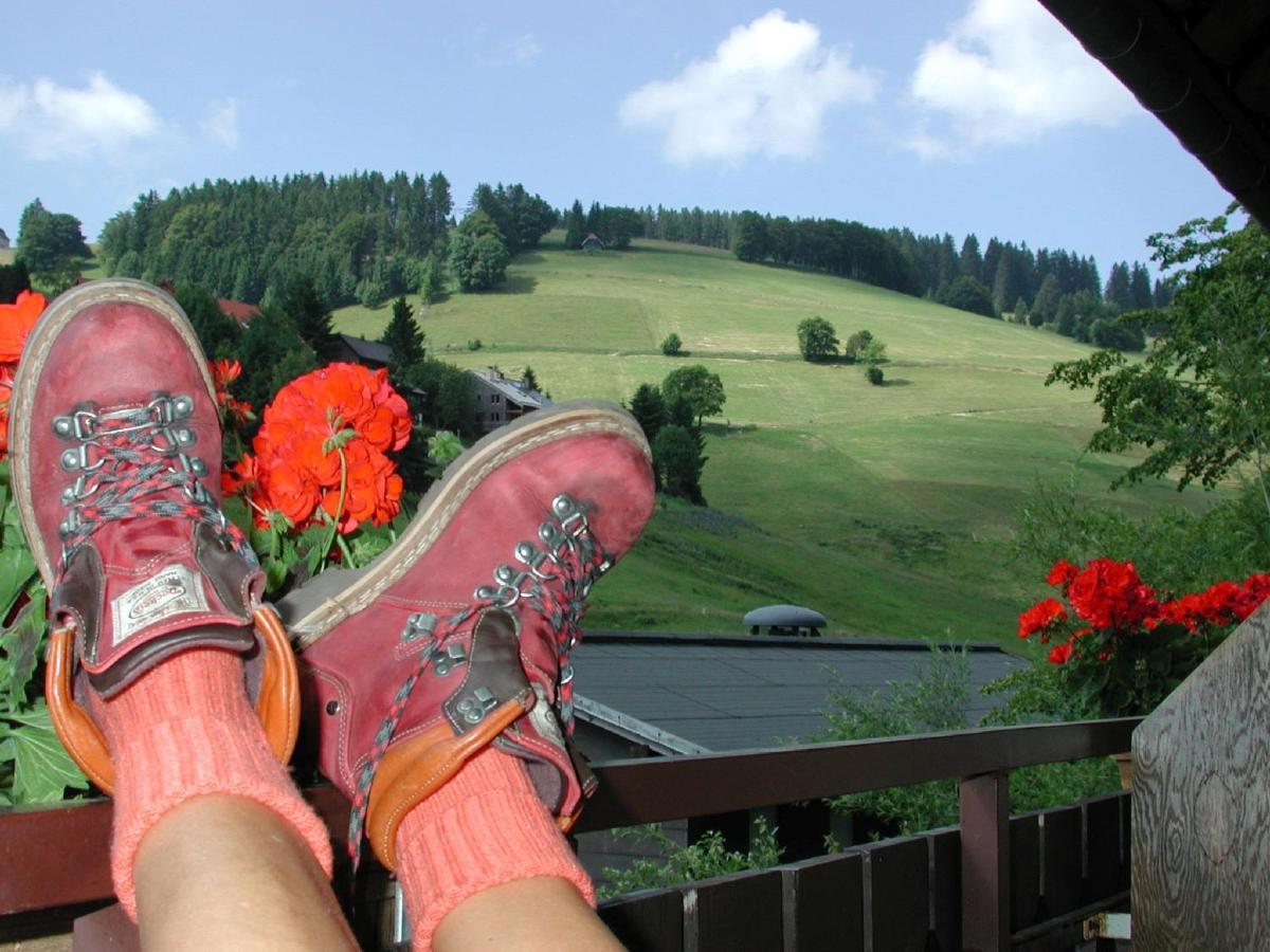 Pension Haus Daheim Todtnauberg Bagian luar foto